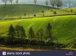 Kaszubski Park Krajobrazowy